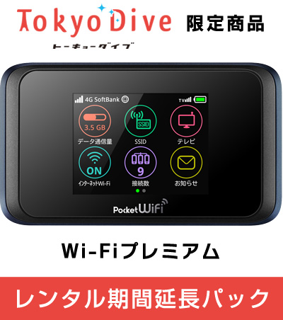 【延長】 SoftBank 501HW　レンタル期間延長パック【Tokyo Dive限定】月間100GB